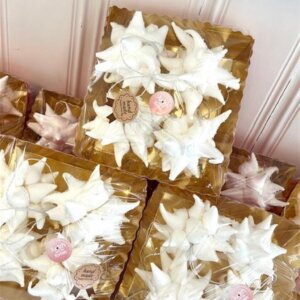 JW Windsterne weiss 4Stück